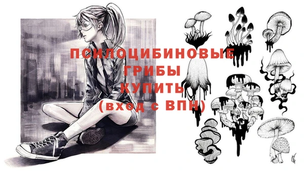 соль курить ск Бородино