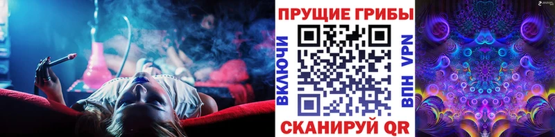 Галлюциногенные грибы Magic Shrooms  Верхняя Пышма 