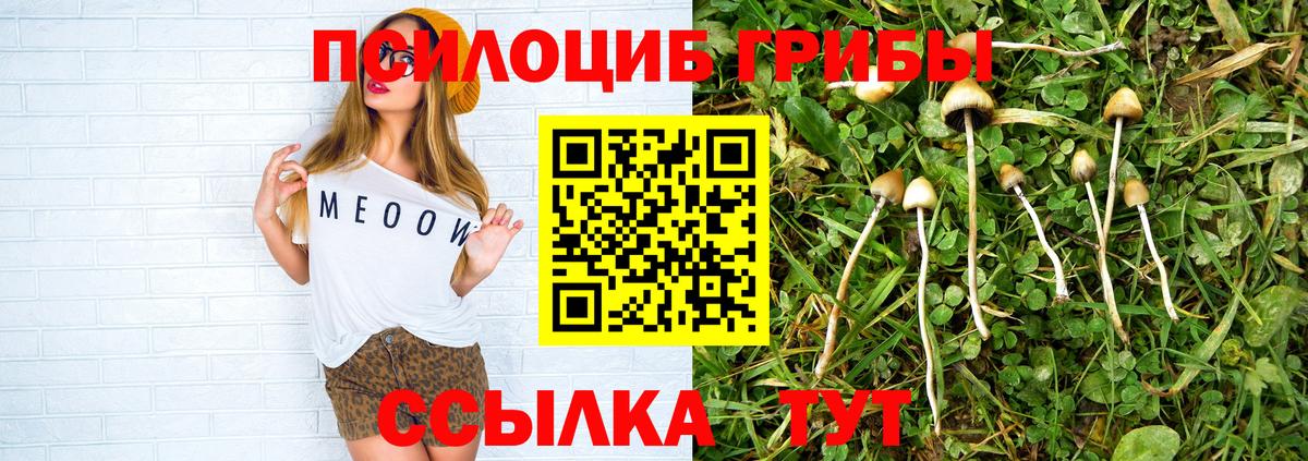 Галлюциногенные грибы MAGIC MUSHROOMS  Псилоцибиновые грибы GOLDEN TEACHER  Вход с VPN  Верхняя Пышма 