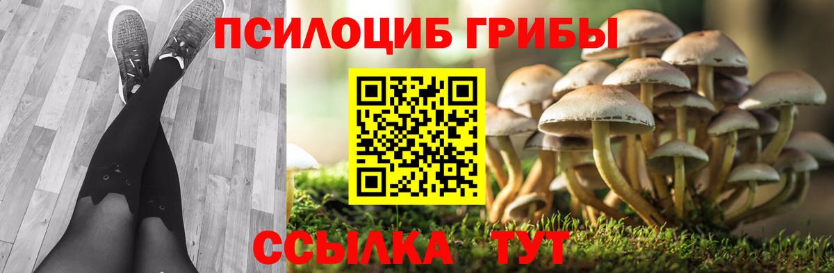 Псилоцибиновые грибы Magic Shrooms Верхняя Пышма