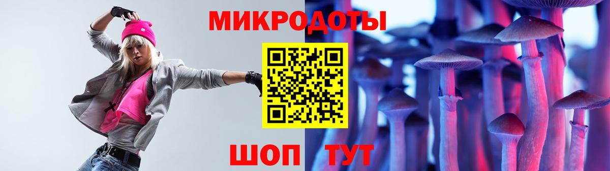 купить  сайты  Галлюциногенные грибы Psilocybe  Верхняя Пышма  Псилоцибиновые грибы Psilocybine cubensis 